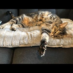 Meet your Posher, Leigh